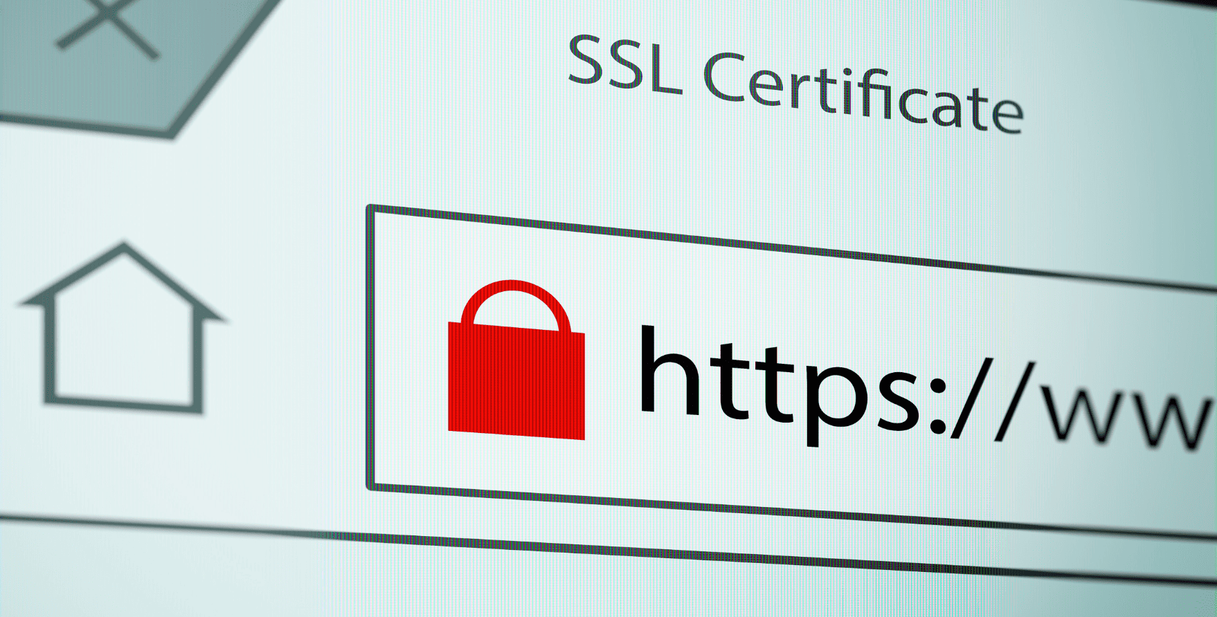 SSL certificate